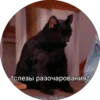 @catshowman's kang pack Vol.2 14