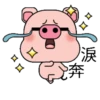 Blessing Pig 11