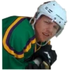 Anaheim Ducks 10