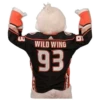 Anaheim Ducks 11