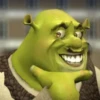 Shrek is ❤️ 12