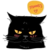 Black Cat 5