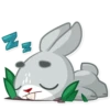 Boo the Bunny 12