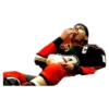 Anaheim Ducks 12