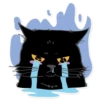 Black Cat 6