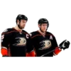 Anaheim Ducks 13