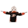 Anaheim Ducks 15