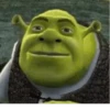 Shrek is ❤️ 14