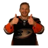 Anaheim Ducks 16