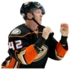 Anaheim Ducks 17