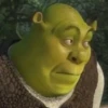 Shrek is ❤️ 15