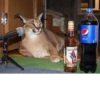 Captain M SPICED pepsi