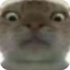 Kondrat by @Stikeryrubot 5