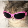 GATITOS RANDOMM 10