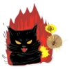 Black Cat 8