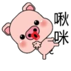 Blessing Pig 15