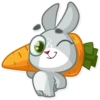 Boo the Bunny 19