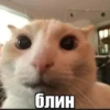 Больше @new_stickerbot 23