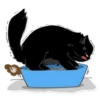 Black Cat 10