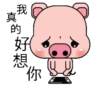 Blessing Pig 18