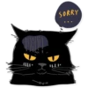 Black Cat 11