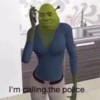 Shrek is ❤️ 23