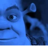 Shrek is ❤️ 24
