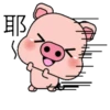 Blessing Pig 21