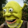 Shrek is ❤️ 27