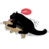 Black Cat 12