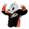 Anaheim Ducks 26