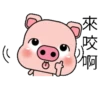 Blessing Pig 22