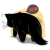 Black Cat 13