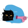 Black Cat 14