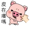 Blessing Pig 23