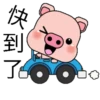 Blessing Pig 24