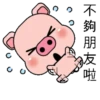 Blessing Pig 25