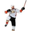 Anaheim Ducks 29