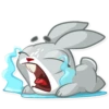 Boo the Bunny 28