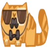 🐈 Kit Cat 🐈 28