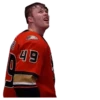 Anaheim Ducks 30