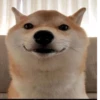 @CompassNeedle's userbot pack 1 24