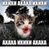 Больше @new_stickerbot 28
