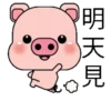 Blessing Pig 29