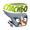Angry Pack @angrybirdsinrussia 5