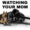 COD @Toji_sama 5