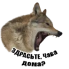 Wolf__chavez 8
