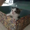 !!