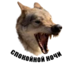Wolf__chavez 9
