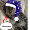 silly little cats!!! 13